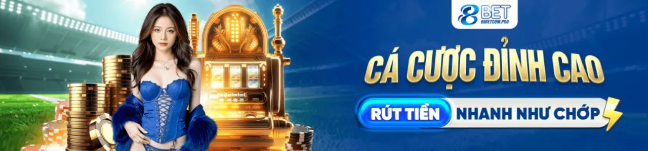 Hình ảnh Câu lạc bộ VIP tải bayvip với đặc quyền độc quyền